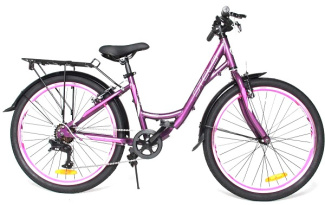 STELS Велосипед Miss-4300 24" V (14" Фиолетовый/розовый), арт. V010
