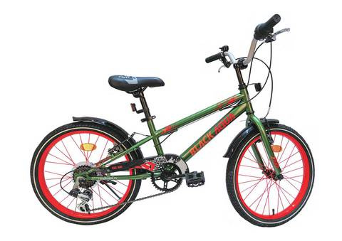 Велосипед Black Aqua Sport 20", 6ск (хаки-оранжевый) KG2023S фото 1
